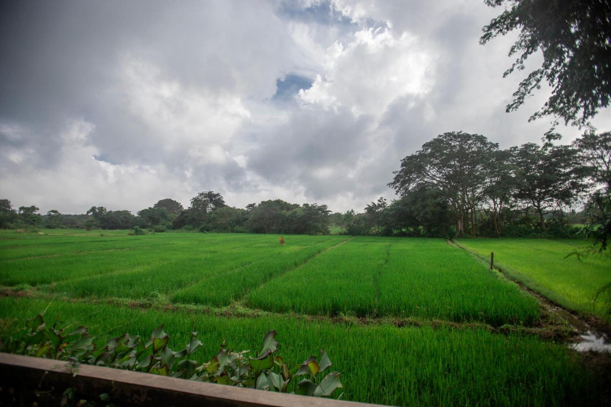 Kumbura Homestay Kibissa Exterior photo